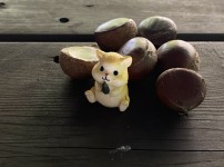 가평펜션 연휴 대가족펜션 대만족 후기 숲다 …