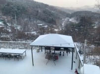 소복히 눈이 내린날